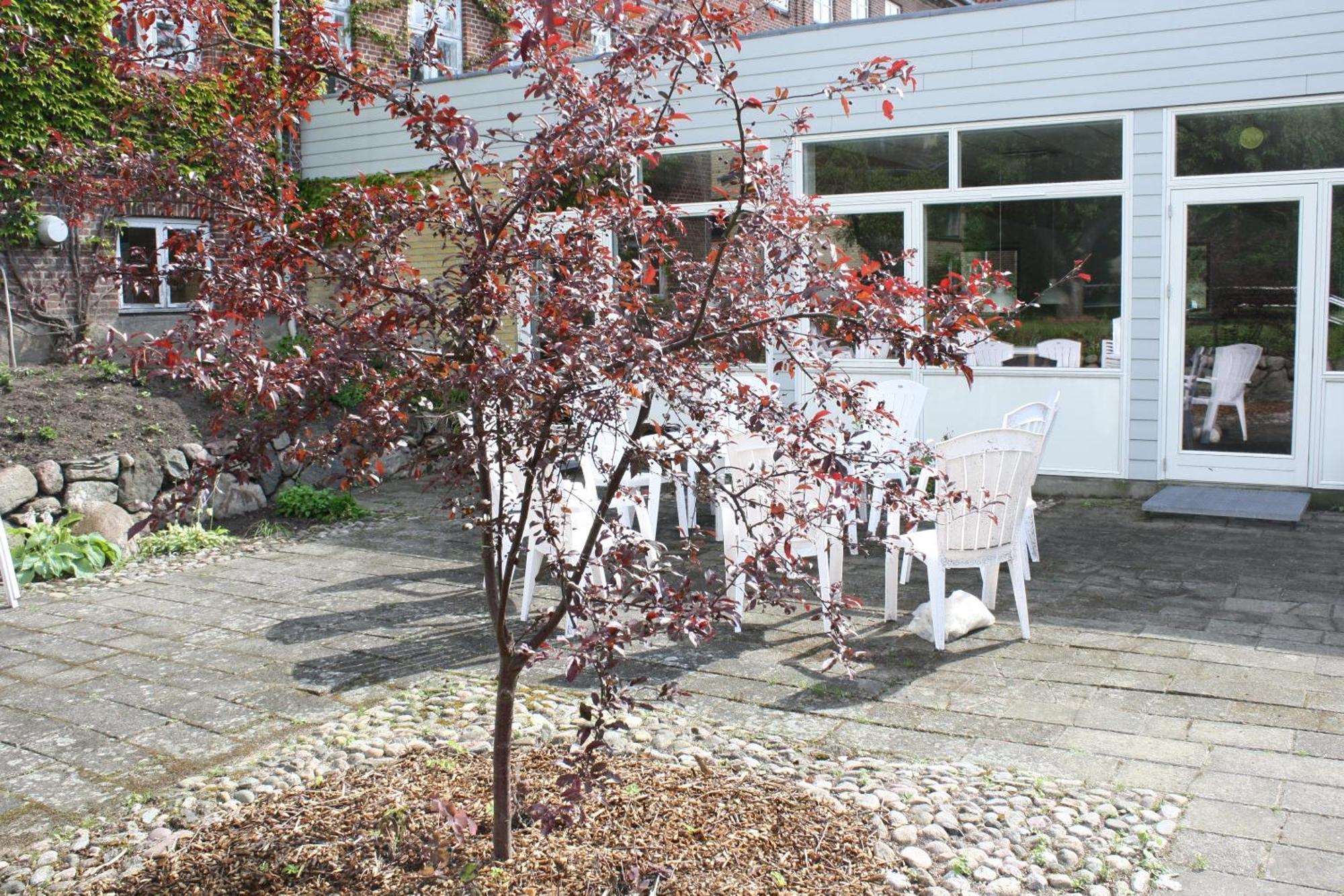 Emmaus Hostel Haslev エクステリア 写真
